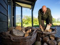 Wat levert een perceel bosgrond op aan hout?