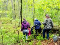 Wat zijn de voordelen van een eigen bos?