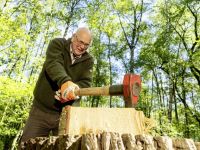 Mag je op je eigen perceel hout hakken? 